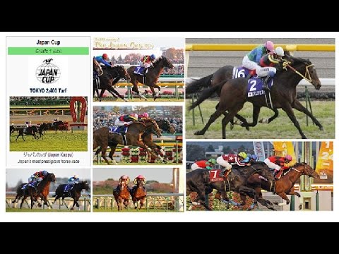 1994 JRA  Japan Cup _ Marvellous Crown