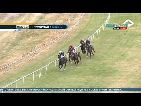 2021.04.18 Zimbabwe 2000 (ZIM) - Diesel and Dust