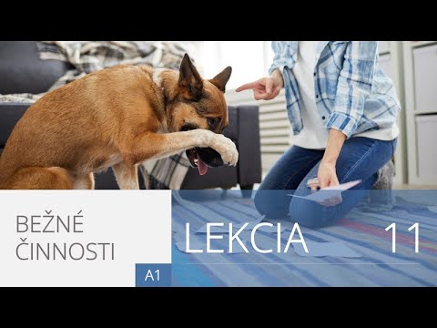 Lekcia 11. Bežné činnosti | Angličtina pre úplných začiatočníkov