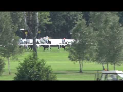 KV, 23. 7. 2017, 5. dostih - 72. OAKS HOLDINGU RABBIT CZ