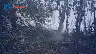Download lagu Pemadaman Kebakaran di Kepulauan Meranti Riau mp3 Download lagu Pemadaman Kebakaran di Kepulauan Meranti Riau mp3