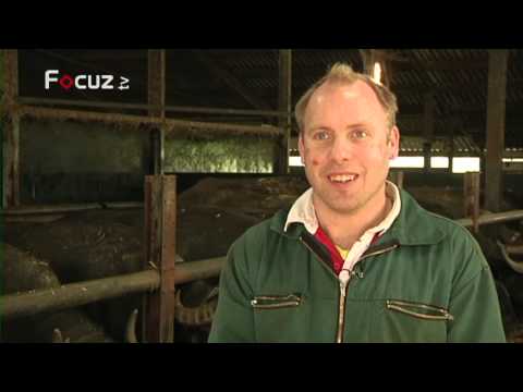 De Boer Op - aflevering 10 - 29 oktober 2013