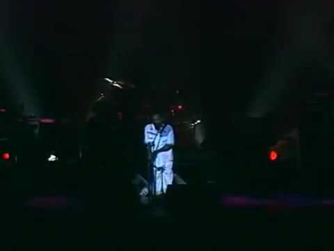 Licks & Kicks - Israel Vibration