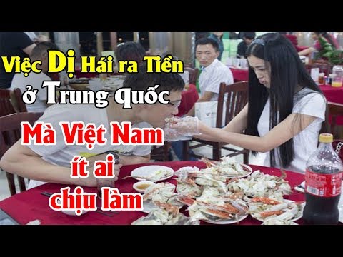 Top Việc Dị Hái ra Tiền ở Trung quốc mà Việt Nam ít ai chịu làm | Tài chính 24H