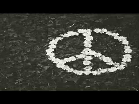 ZGROOP - L'histoire d'un ado 2.0