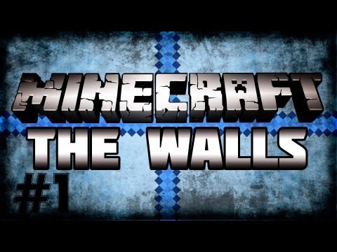 The Walls w/ Grapeapplesauce and Pokediger1