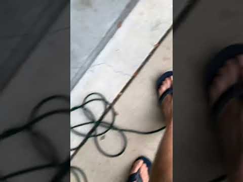 Alarm siren for Mercedes W-2 11