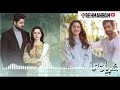 Mujhe Pyaar Hua Tha Bgm Background Music Pakistani Ringtone