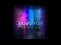 Evanescence - What You Want (Türkçe Çevirisiyle)