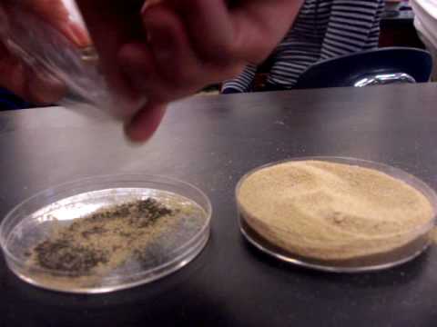 Separation: Iron & Sand Mixture