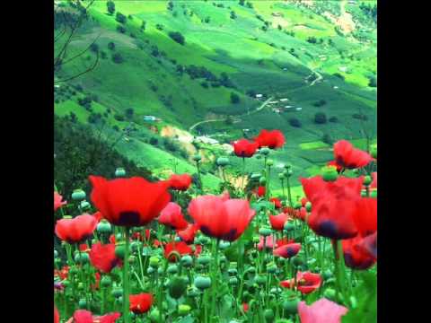 Los benitez de la sierra - la platica con mi cuernito 2012 ( Tlacotepec gro)