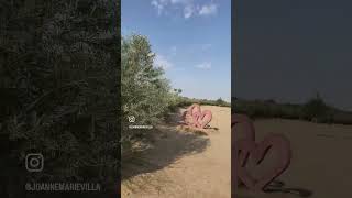 Be happy in the moment, thats enough. Each moment is all we need, not more. 🌱