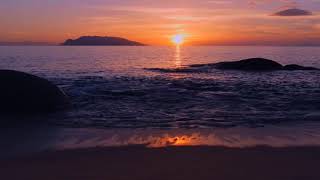 Moby  (ft. Mark Lanegan) - The Lonely Night