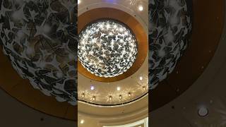 Piazza elegance on a Royal Princess cruise to Mexico. #cruise #cruiseline #cruiselife #solocruise