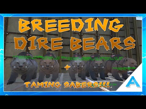 Ark Survival Evolved: Breeding Dire Bears and Taming Sabers!!!