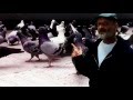 Pigeons - iGenesis Project (Genesis Cover)