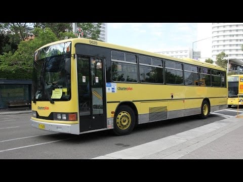 CharterPlus (CDC Group) TV 5628 - Volvo B10M Mk 4 (ZF/Custom Coaches 510)