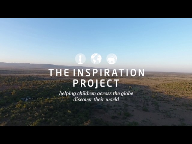 The Inspiration Project, Global