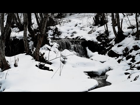 4k Snowy Brook Sounds, Relaxing Nature