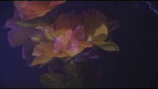 Crayon Fields - Mirror Ball