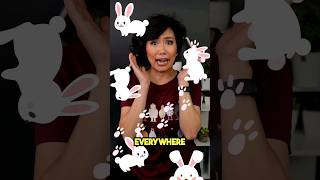 Meeple University - Bunny Boom video thumbnail