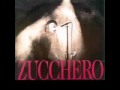 ZUCCHERO - Pippo