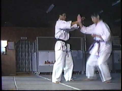 MartialArts　女子護身術　打撃技と関節技　goshin2.wmv
