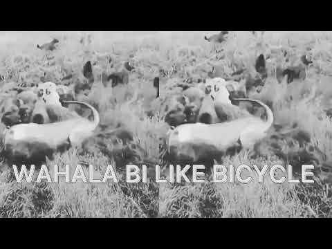 LawRenxee ,Movie #freestyle, INever Started!!Iam Coming Like Naira Marley.(Wahala E Bi Like Bicycle)