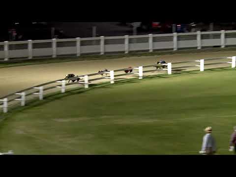 2020.06.26. 06. futam - Nyári Nagydíj Open