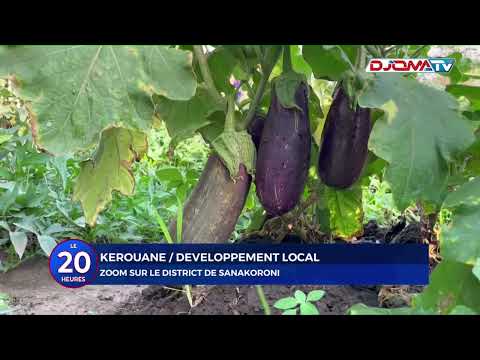🔴Kérouané/Développement local: zoom sur le district de Sankoroni.