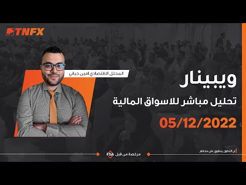 ويبينار تحليل مباشر للاسواق المالية - المحلل الاقتصادي امين حياني 5/12/2022