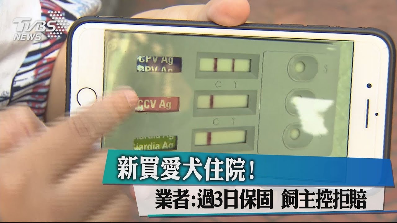 新買愛犬住院!業者:過3日保固 飼主控拒賠