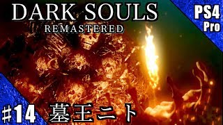 #14【PS4Pro】DARK SOULS REMASTERED 実況プレイ【墓王ニト】