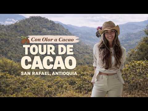Tour de Cacao en San Rafael Antioquia | Con Olor a Cacao