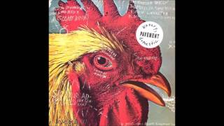 pavement - watery, domestic