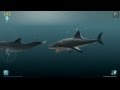 Shark Eaters: Rise of the Dolphin - Kthulu, the ...