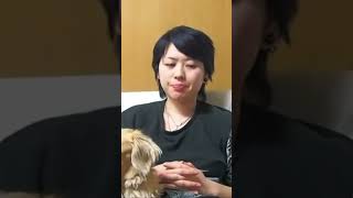 【過去動画】今辛いことがある人へ【切り抜き】
