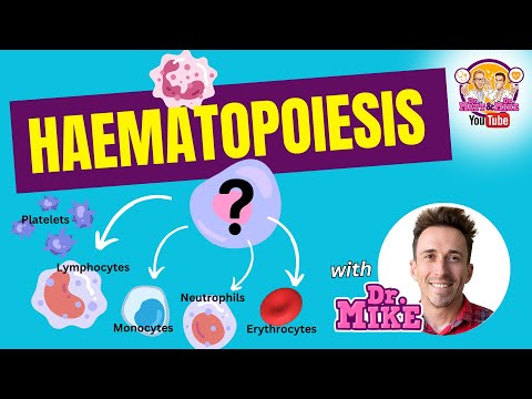 Hematopoiesis | Formation of blood cells