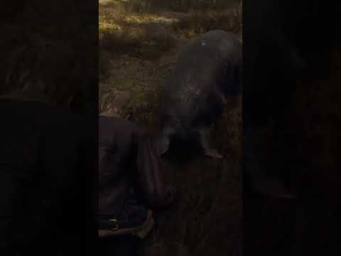 Steam Community :: Video :: I'm So Sad