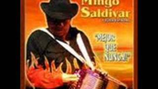 Mingo  Saldivar  - Mexicajun  Cumbia.