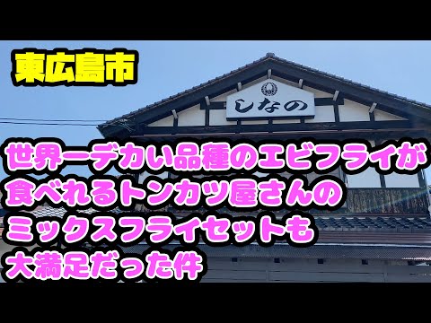 [Tonkatsu] Shinano, un restaurante de chuletas de cerdo situado en una zona residencial [Ebifry]