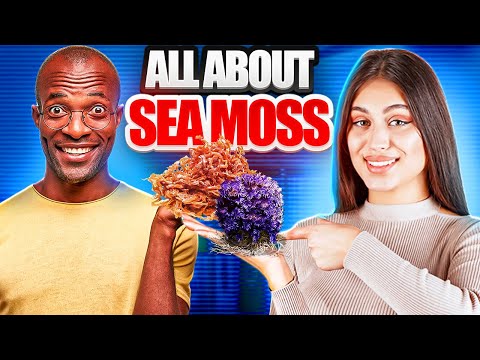The Ultimate Guide to Sea Moss (Chondrus Crispus): Everything You Need to Know for Optimal Health!