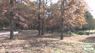 Deer Run RV Resort Video