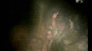 A.N.I.M.A.L. - Esperando El Final &amp; El Nuevo Camino Del Homb