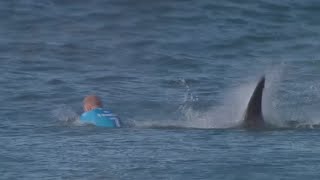 Jaw-dropping: Surfer fights off shark attack live on TV in S. African competition