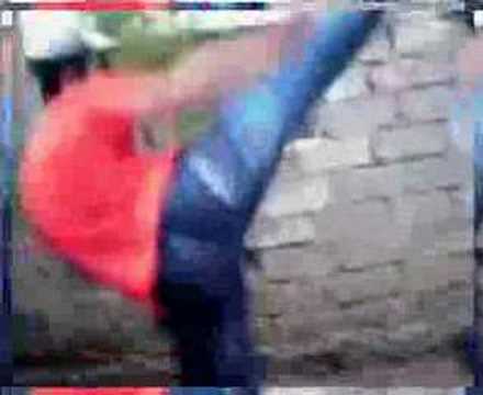 van damme vs bruce lee