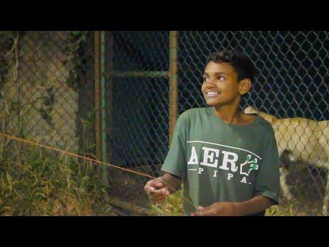 UFC Kite Flyng Brazil