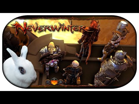 NEVERWINTER: Paladin-LP 🐇 176 - "Ich sehe eurer Gruppe fehlt ein Paladin"