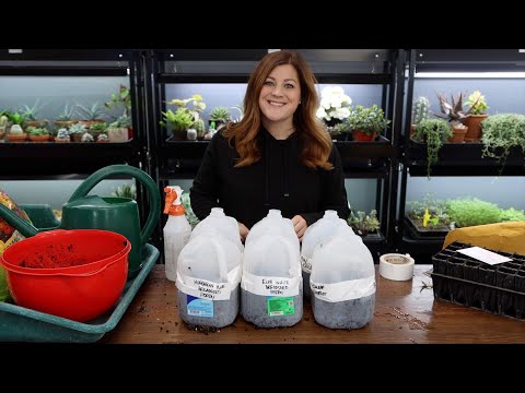image-How many types of seeding are there?