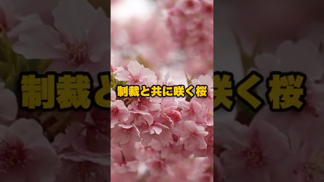 【警告】皇居の地下から発せられる異常信号…世界が恐れる日本の覚醒は始まっている【 都市伝説 予言 ミステリー スピリチュアル 予知能力 】
